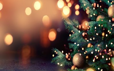 Fijne kerstdagen en een voorspoedig 2025